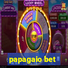 papagaio bet